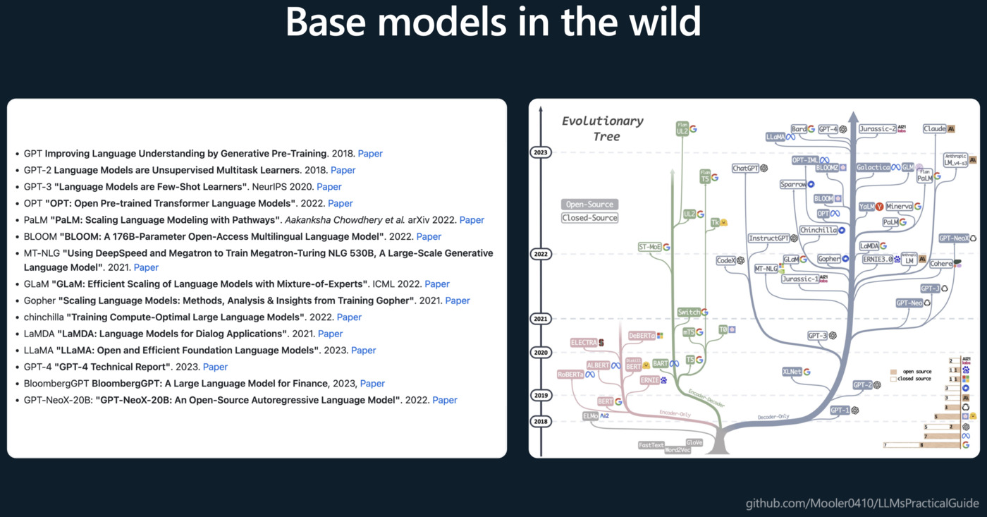 Base models in the wild